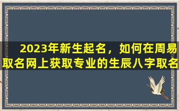 2023年新生起名，如何在周易取名网上获取专业的生辰八字取名建议