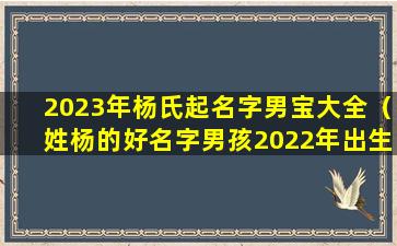 2023年杨氏起名字男宝大全（姓杨的好名字男孩2022年出生）