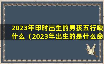 2023年申时出生的男孩五行缺什么（2023年出生的是什么命,缺什么）