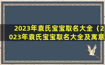 2023年袁氏宝宝取名大全（2023年袁氏宝宝取名大全及寓意）