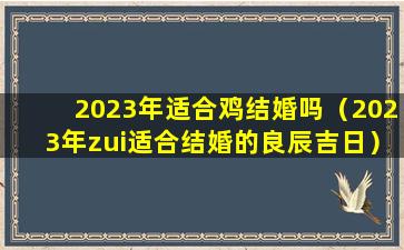 2023年适合鸡结婚吗（2023年zui适合结婚的良辰吉日）