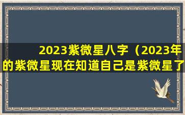 2023紫微星八字（2023年的紫微星现在知道自己是紫微星了吗）