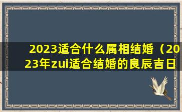 2023适合什么属相结婚（2023年zui适合结婚的良辰吉日）