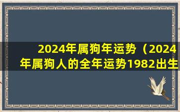 2024年属狗年运势（2024年属狗人的全年运势1982出生）