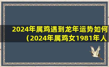 2024年属鸡遇到龙年运势如何（2024年属鸡女1981年人的全年运势）