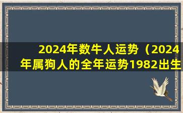 2024年数牛人运势（2024年属狗人的全年运势1982出生）