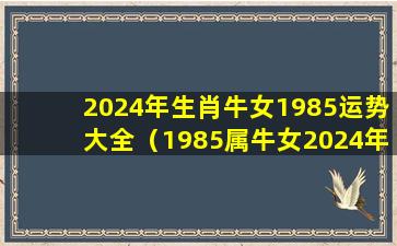 2024年生肖牛女1985运势大全（1985属牛女2024年感情及婚姻）