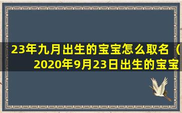 23年九月出生的宝宝怎么取名（2020年9月23日出生的宝宝起名）