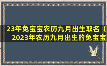 23年兔宝宝农历九月出生取名（2023年农历九月出生的兔宝宝好吗）