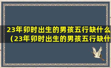 23年卯时出生的男孩五行缺什么（23年卯时出生的男孩五行缺什么命格）