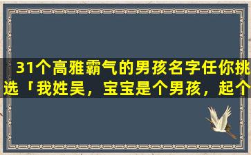 31个高雅霸气的男孩名字任你挑选「我姓吴，宝宝是个男孩，起个什么名字好听呢」