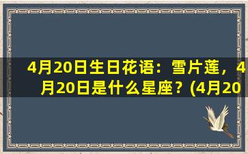 4月20日生日花语：雪片莲，4月20日是什么星座？(4月20日的生日花是什么）