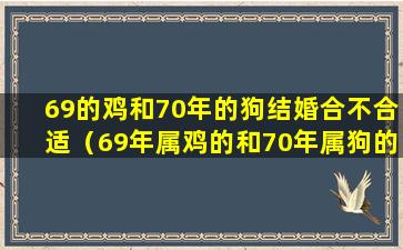 69的鸡和70年的狗结婚合不合适（69年属鸡的和70年属狗的在一起好吗）