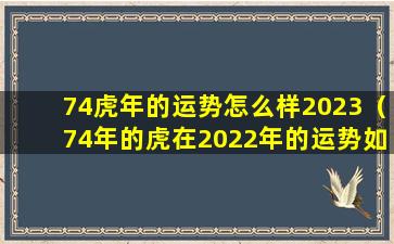 74虎年的运势怎么样2023（74年的虎在2022年的运势如何）