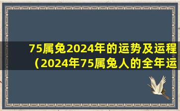 75属兔2024年的运势及运程（2024年75属兔人的全年运势如何）