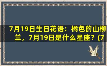 7月19日生日花语：橘色的山柳兰，7月19日是什么星座？(7月19号生日）