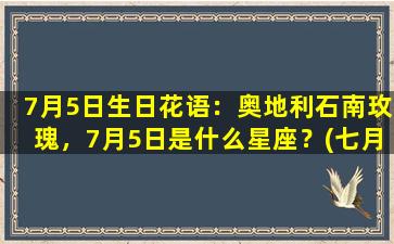 7月5日生日花语：奥地利石南玫瑰，7月5日是什么星座？(七月五日生日是什么星座）