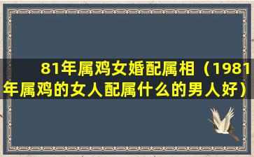 81年属鸡女婚配属相（1981年属鸡的女人配属什么的男人好）