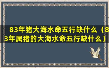 83年猪大海水命五行缺什么（83年属猪的大海水命五行缺什么）