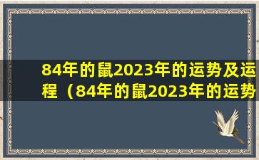 84年的鼠2023年的运势及运程（84年的鼠2023年的运势及运程走势图）