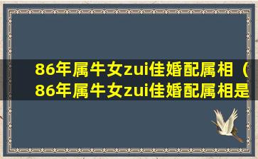 86年属牛女zui佳婚配属相（86年属牛女zui佳婚配属相是什么）