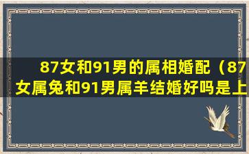 87女和91男的属相婚配（87女属兔和91男属羊结婚好吗是上等婚配吗）