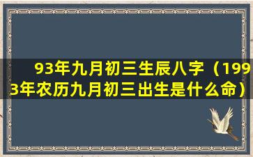 93年九月初三生辰八字（1993年农历九月初三出生是什么命）