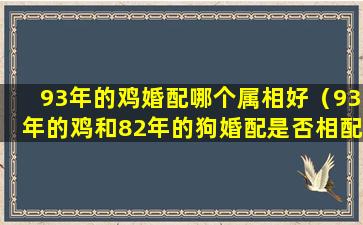 93年的鸡婚配哪个属相好（93年的鸡和82年的狗婚配是否相配）