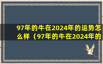 97年的牛在2024年的运势怎么样（97年的牛在2024年的运势怎么样男孩）