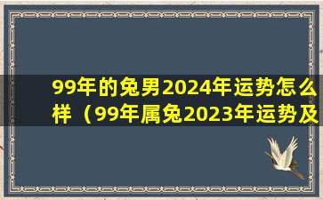 99年的兔男2024年运势怎么样（99年属兔2023年运势及运程每月运程）