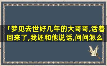 「梦见去世好几年的大哥哥,活着回来了,我还和他说话,问问怎么回来了」