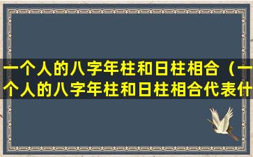 一个人的八字年柱和日柱相合（一个人的八字年柱和日柱相合代表什么）