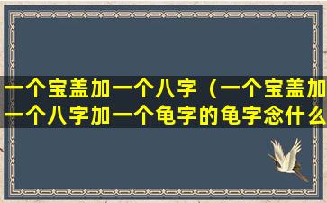 一个宝盖加一个八字（一个宝盖加一个八字加一个龟字的龟字念什么）