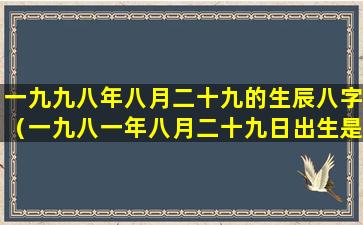 一九九八年八月二十九的生辰八字（一九八一年八月二十九日出生是什么星座）