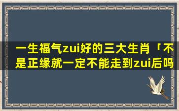 一生福气zui好的三大生肖「不是正缘就一定不能走到zui后吗」