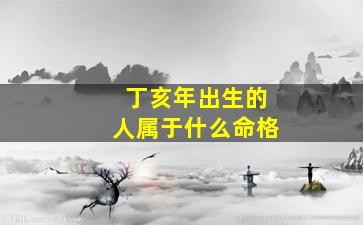 丁亥年出生的人属于什么命格