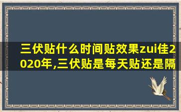 三伏贴什么时间贴效果zui佳2020年,三伏贴是每天贴还是隔天贴