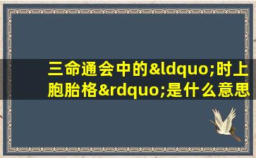 三命通会中的“时上胞胎格”是什么意思