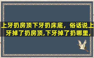 上牙扔房顶下牙扔床底，俗话说上牙掉了扔房顶,下牙掉了扔哪里,