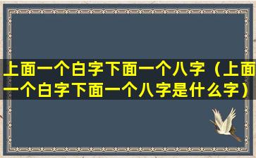 上面一个白字下面一个八字（上面一个白字下面一个八字是什么字）