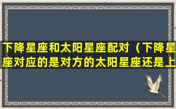 下降星座和太阳星座配对（下降星座对应的是对方的太阳星座还是上升星座）