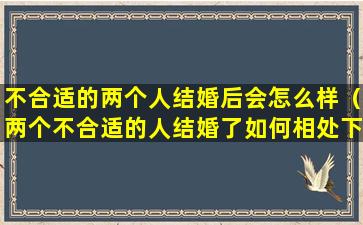 不合适的两个人结婚后会怎么样（两个不合适的人结婚了如何相处下去）