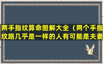 两手指纹算命图解大全（两个手指纹路几乎是一样的人有可能是夫妻吗）