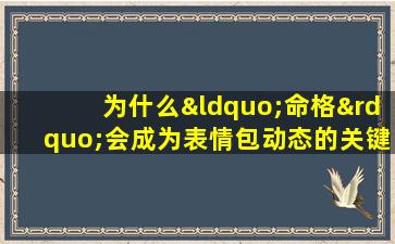 为什么“命格”会成为表情包动态的关键词