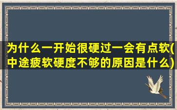 为什么一开始很硬过一会有点软(中途疲软硬度不够的原因是什么)