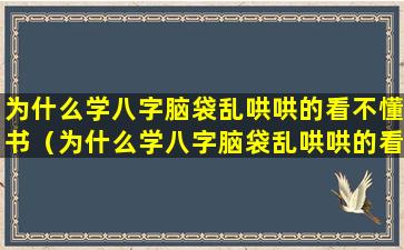 为什么学八字脑袋乱哄哄的看不懂书（为什么学八字脑袋乱哄哄的看不懂书呢）