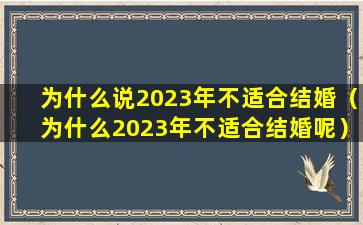 为什么说2023年不适合结婚（为什么2023年不适合结婚呢）