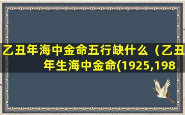 乙丑年海中金命五行缺什么（乙丑年生海中金命(1925,1985)）