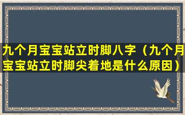 九个月宝宝站立时脚八字（九个月宝宝站立时脚尖着地是什么原因）