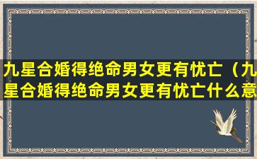 九星合婚得绝命男女更有忧亡（九星合婚得绝命男女更有忧亡什么意思）